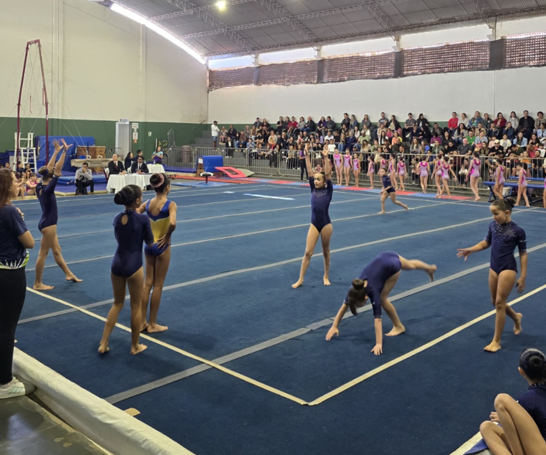 Equipe de ginástica artística de Uberlândia durante treinamento (foto: divulgação/Secom-PMU)