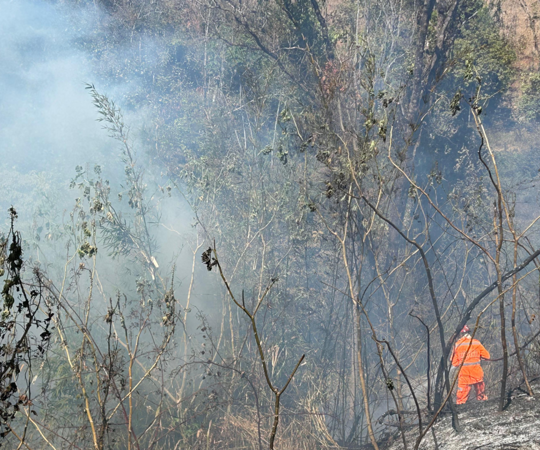 Bombeiros de Ituiutaba apagando incêndio na zona rural (foto: divulgação/CBMG)