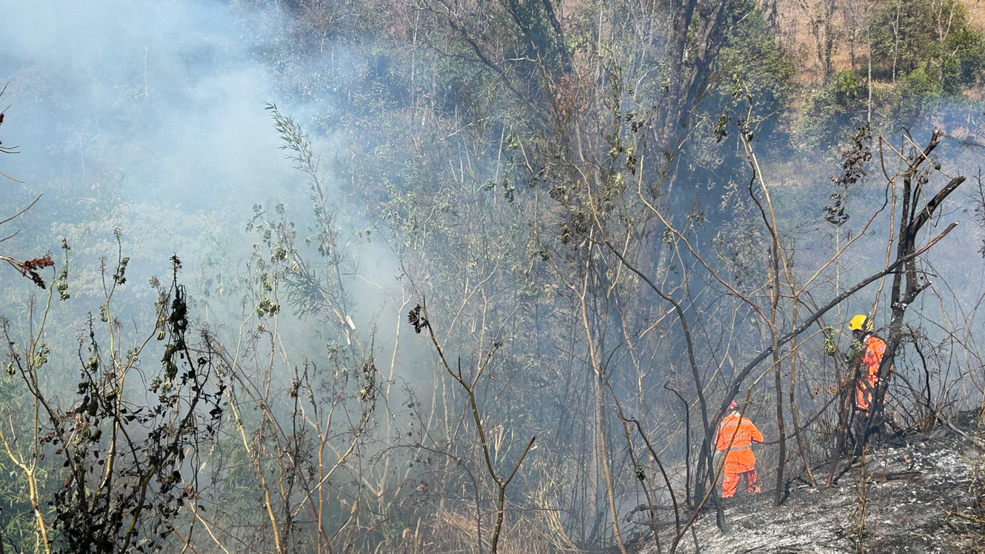 Bombeiros de Ituiutaba apagando incêndio na zona rural (foto: divulgação/CBMG)