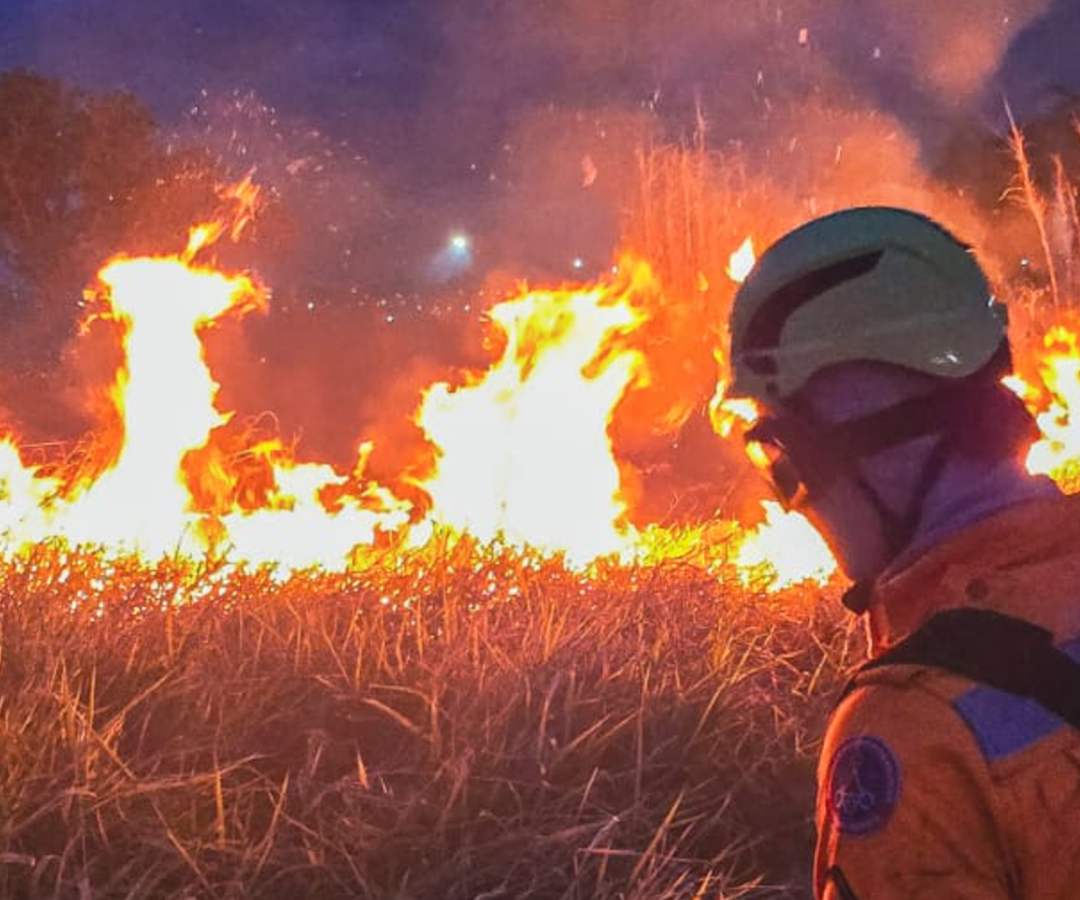 Bombeiros de Ituiutaba controlaram um incêndio florestal de grandes proporções no bairro Satélite Andradina (foto: divulgação/CBMG)