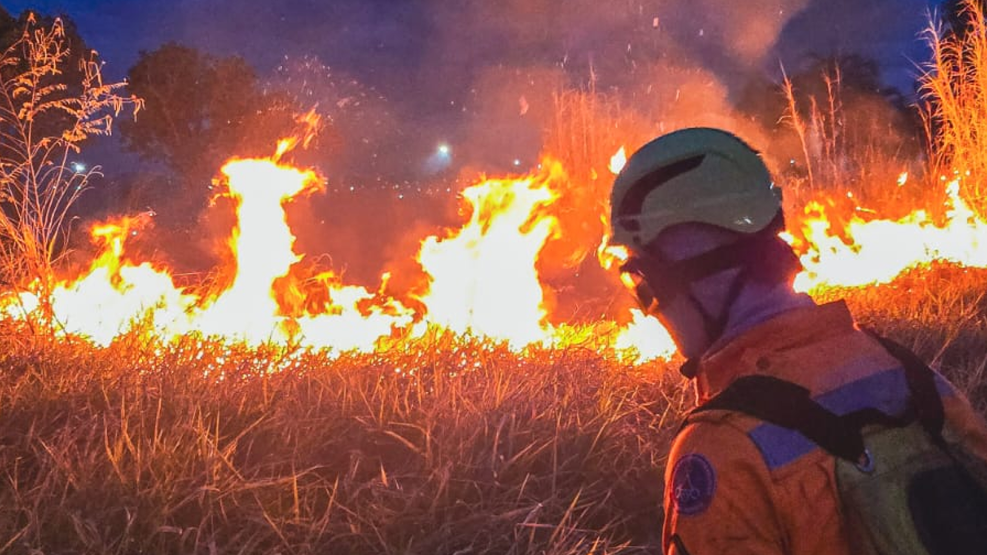 Bombeiros de Ituiutaba controlaram um incêndio florestal de grandes proporções no bairro Satélite Andradina (foto: divulgação/CBMG)