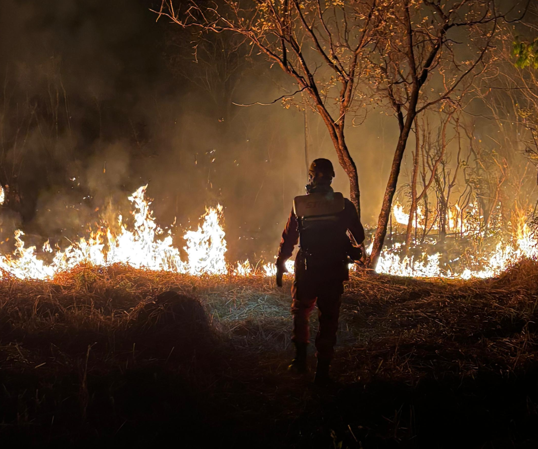 Incêndio atinge área de preservação em Ituiutaba e mobiliza bombeiros