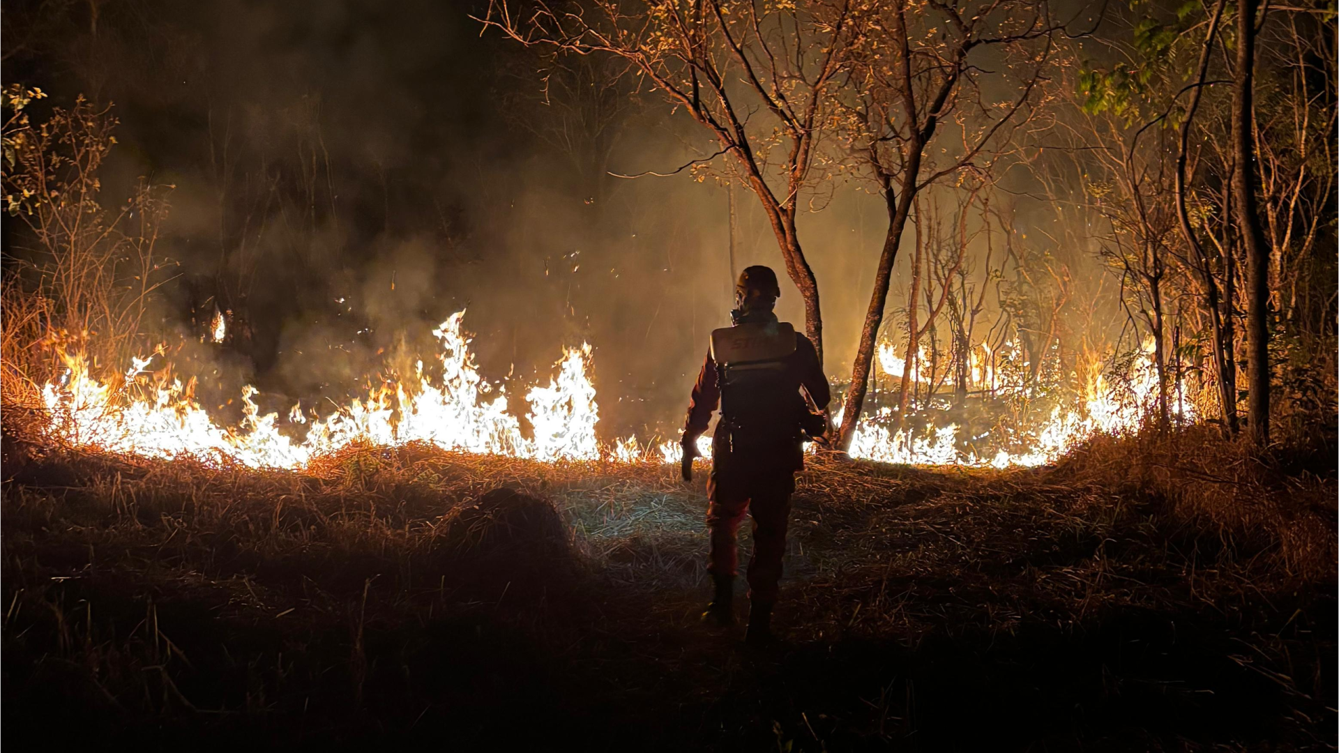 Incêndio atinge área de preservação em Ituiutaba e mobiliza bombeiros