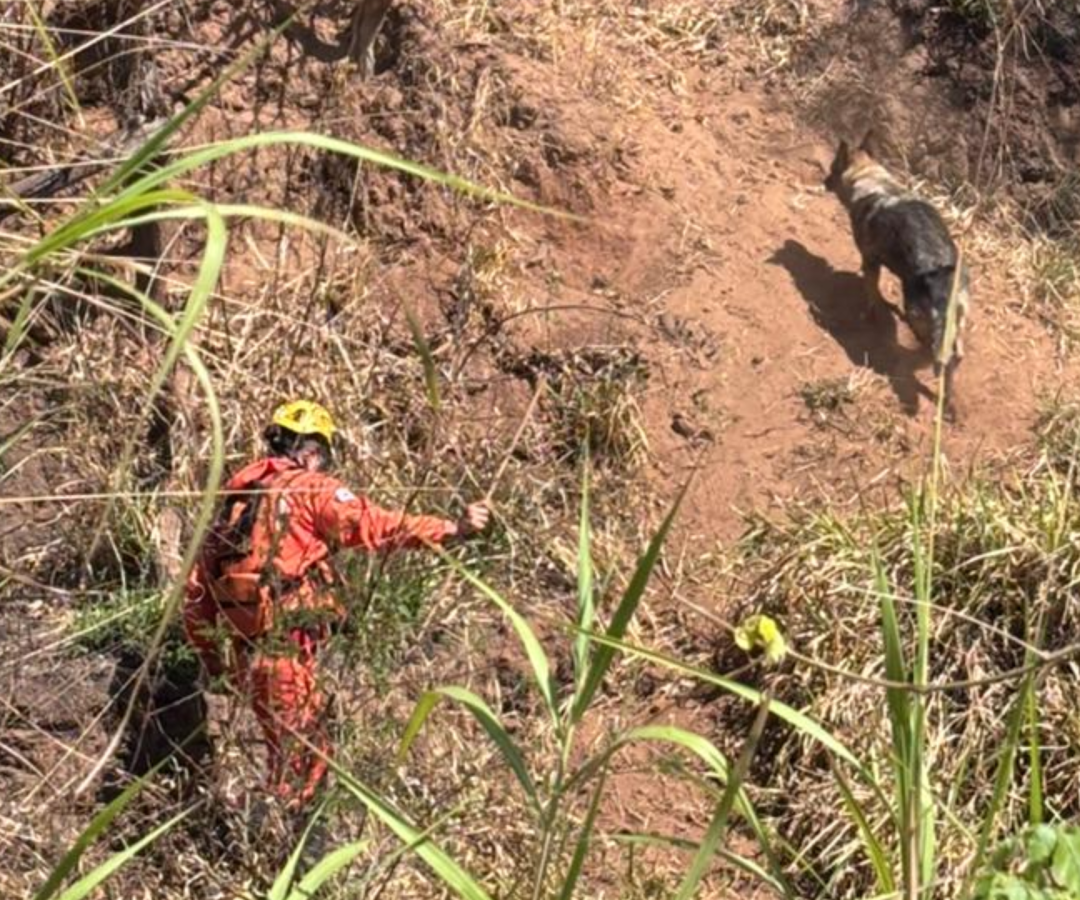 Bombeiros seguem as buscas por jovem desaparecido em mata próxima ao Conjunto José Barbosa, em Uberaba. Cães e drones reforçam operação.