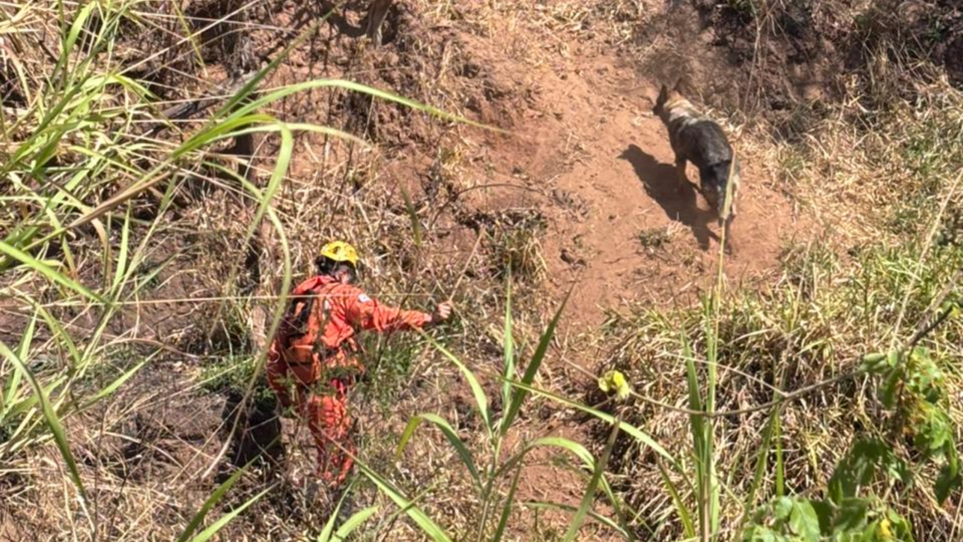 Bombeiros seguem as buscas por jovem desaparecido em mata próxima ao Conjunto José Barbosa, em Uberaba. Cães e drones reforçam operação.