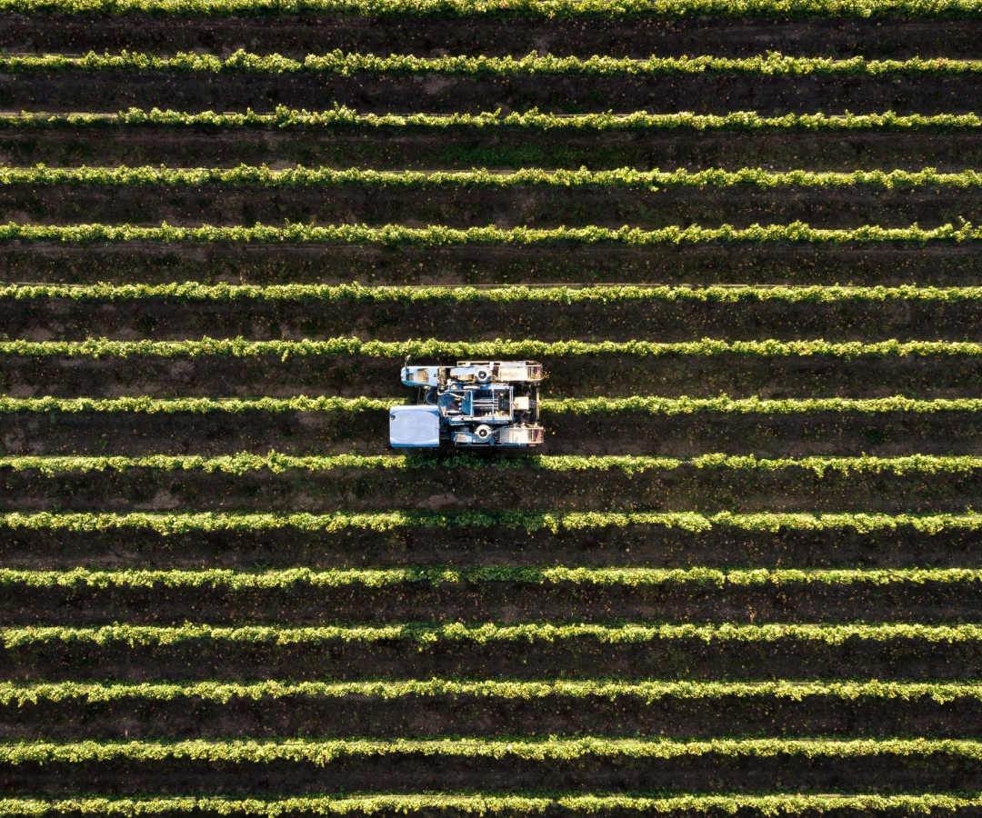 Plantação e uma máquina agrícula representando o agronegócio (Foto de Tomas Anunziata: https://www.pexels.com/pt-br/foto/blocos-lego-preto-e-cinza-3876417/)