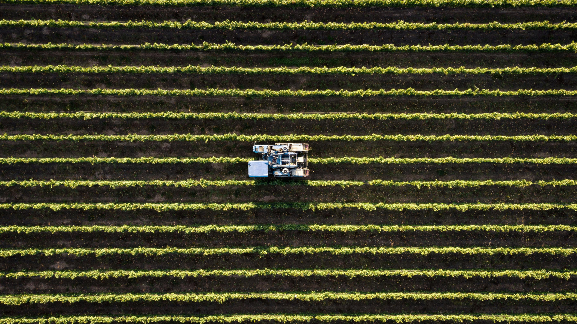 Plantação e uma máquina agrícula representando o agronegócio (Foto de Tomas Anunziata: https://www.pexels.com/pt-br/foto/blocos-lego-preto-e-cinza-3876417/)