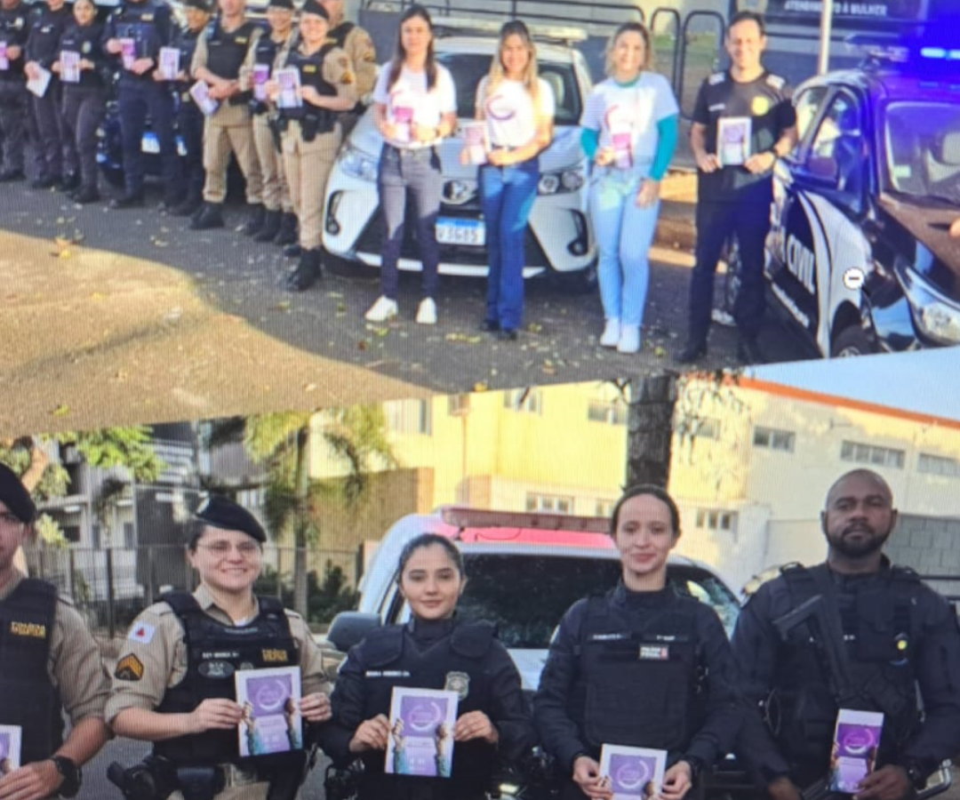 (foto: divulgação/ PMMG)