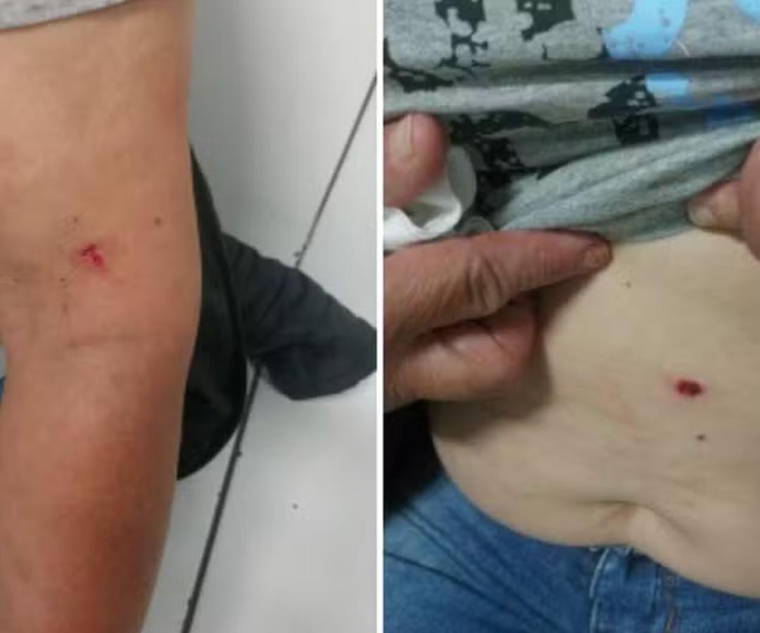 (foto: divulgação/ PMMG)