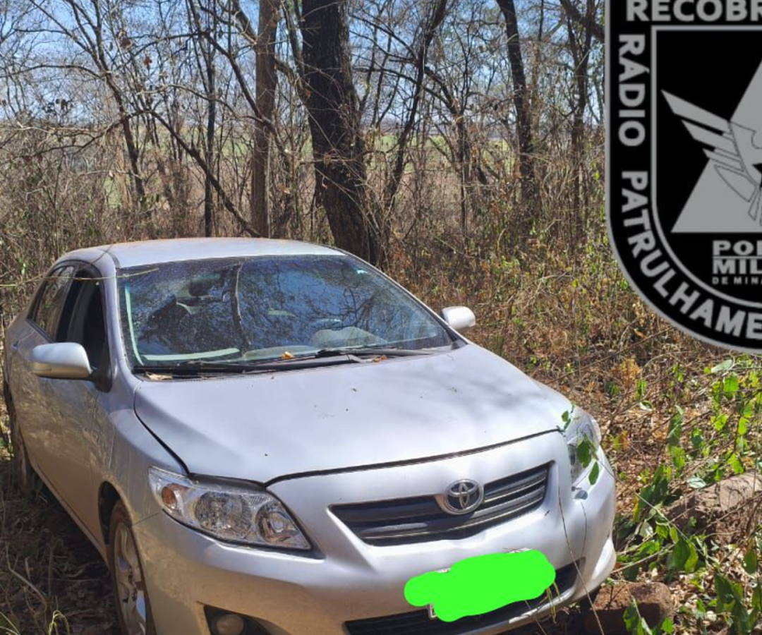 (foto: divulgação/ PMMG)