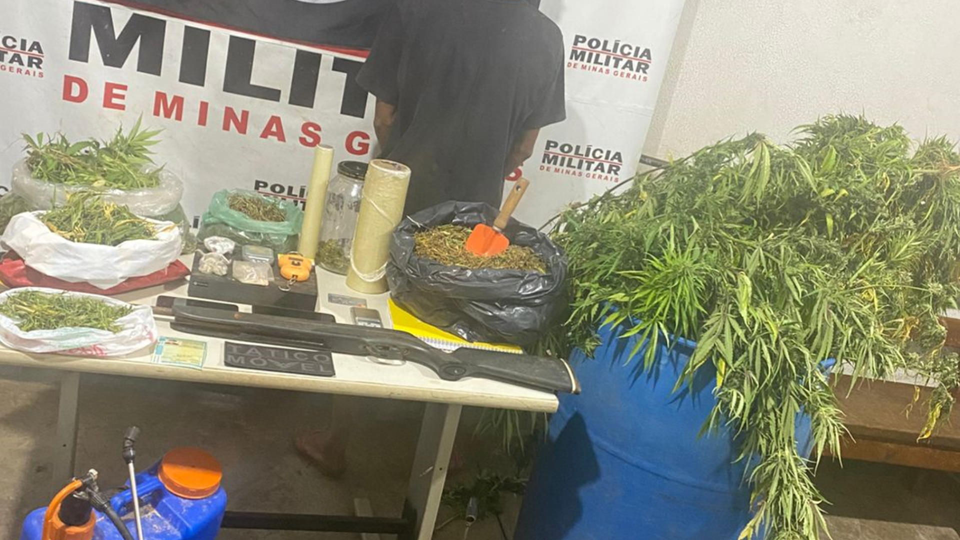 Apreensão incluiu drogas, balanças de precisão, veículo e armas na zona rural da cidade (foto: divulgação/ PMMG)
