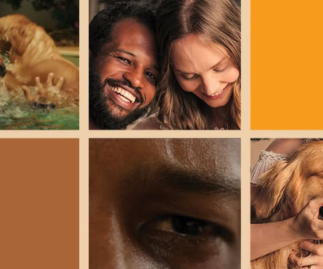 Uberaba recebe mais uma edição do “Cinema no Estacionamento” neste sábado (6), com três produções brasileiras e a estreia do curta local “Eterna Companhia”