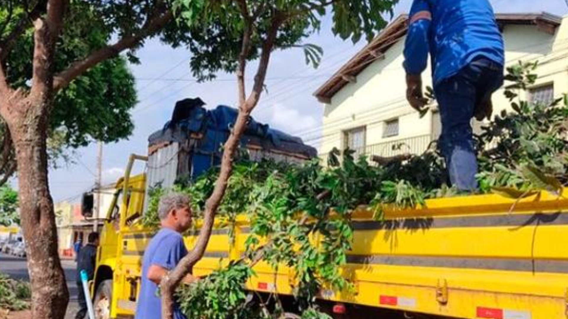 Prefeitura de Uberaba e Amvale promovem nesta sexta (12) o II Curso de Supressão e Podas de Árvores
