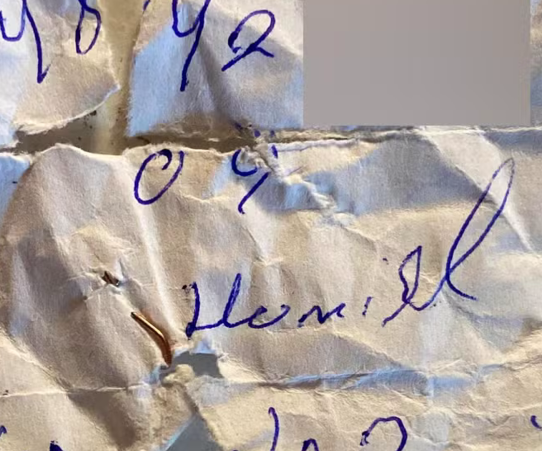 (foto: divulgação/ redes sociais)