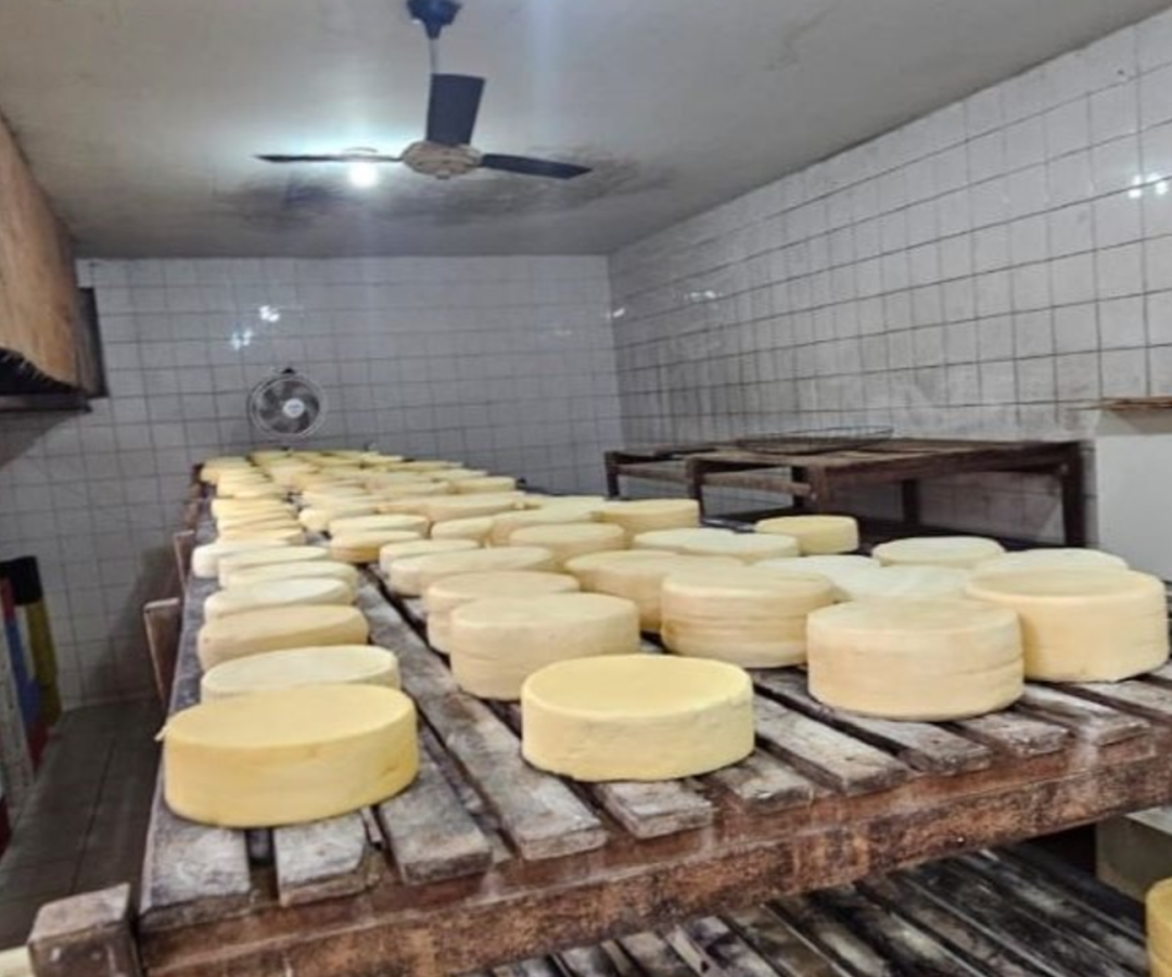 Local funcionava sem licença e apresentava graves irregularidades sanitárias (foto: divulgação/ MPMG)