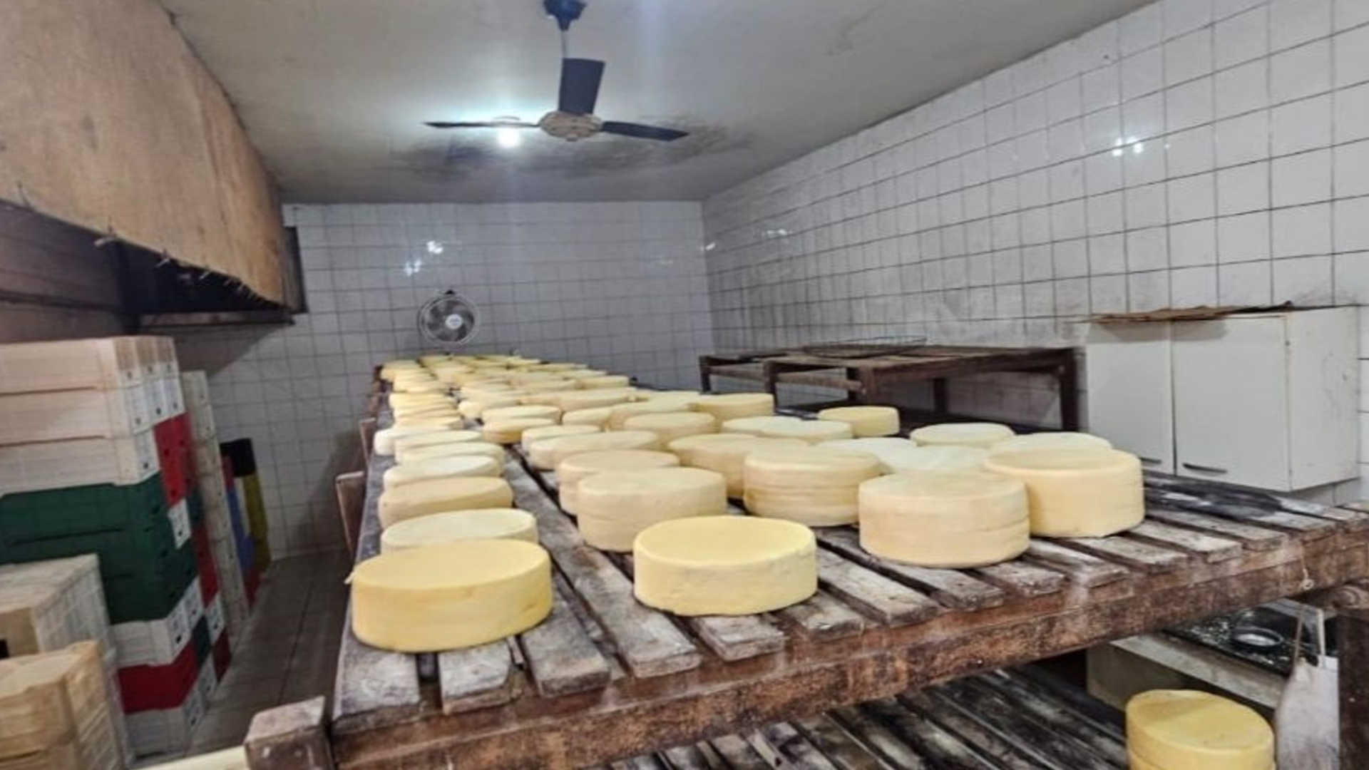 Local funcionava sem licença e apresentava graves irregularidades sanitárias (foto: divulgação/ MPMG)