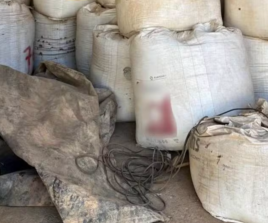 (Foto: Polícia Civil/Divulgação)