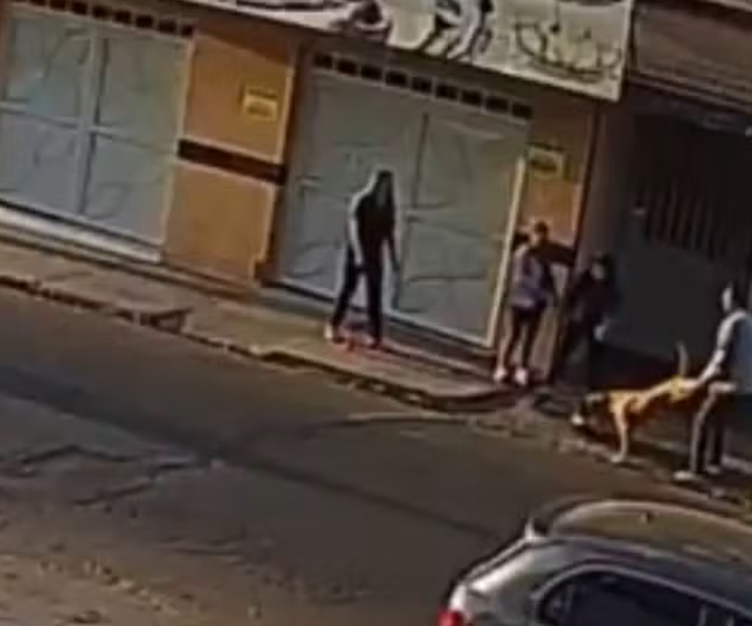 (foto: reprodução/ redes sociais)