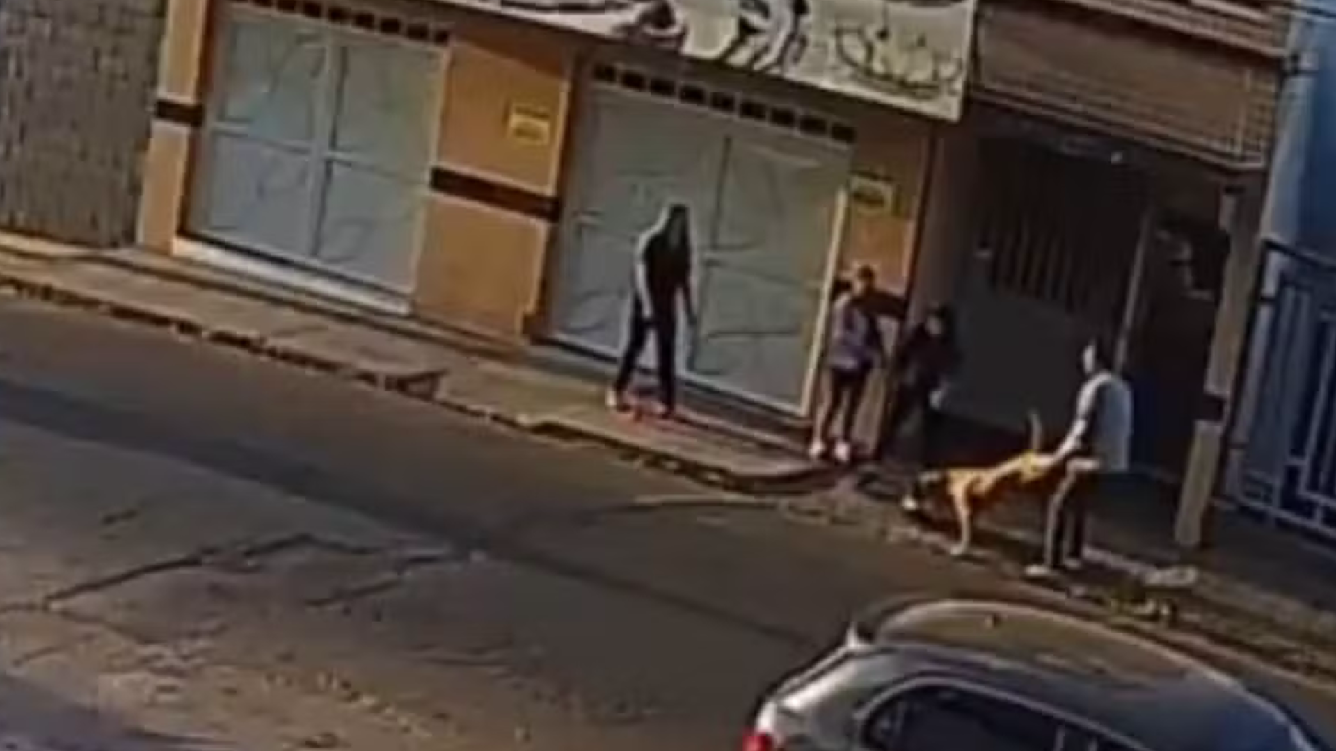 (foto: reprodução/ redes sociais)