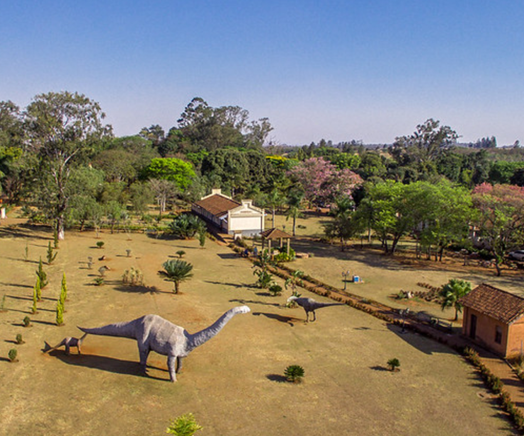 (foto: divulgação/ PMU)
