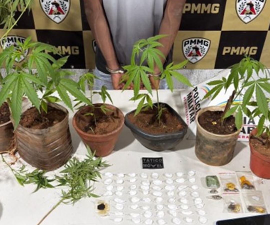 (foto: divulgação/ PMMG)