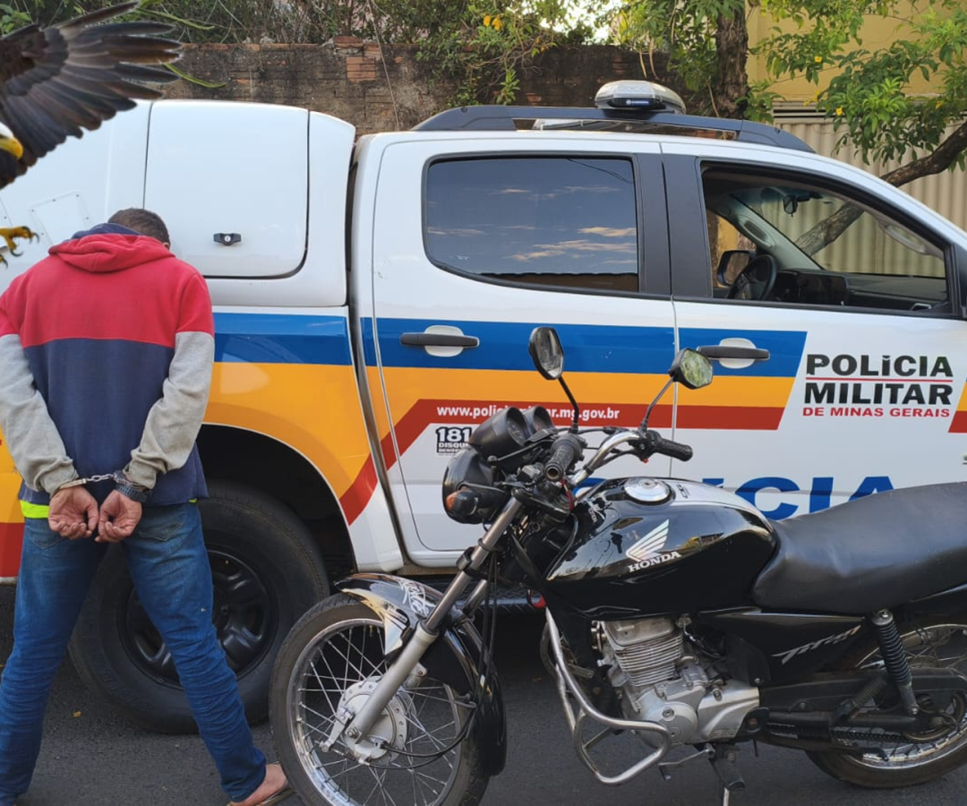 (foto: divulgação/ PMMG)