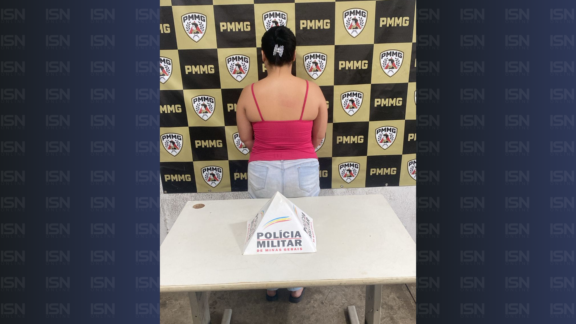 (foto: divulgação/ PMMG)