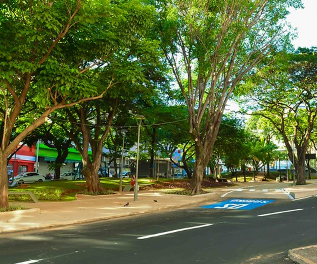 (foto: divulgação/ redes sociais)