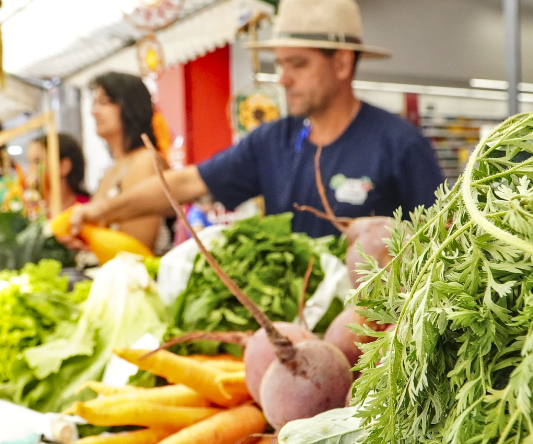 (foto: divulgação/ Secom/ PMU)