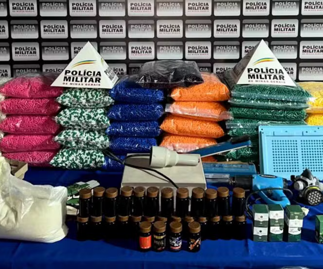 (foto: divulgação/ PMMG)