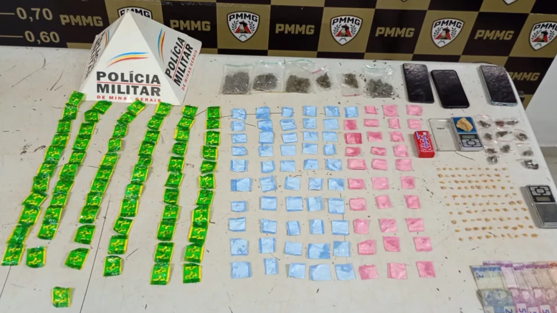 (foto: divulgação/ PMMG)