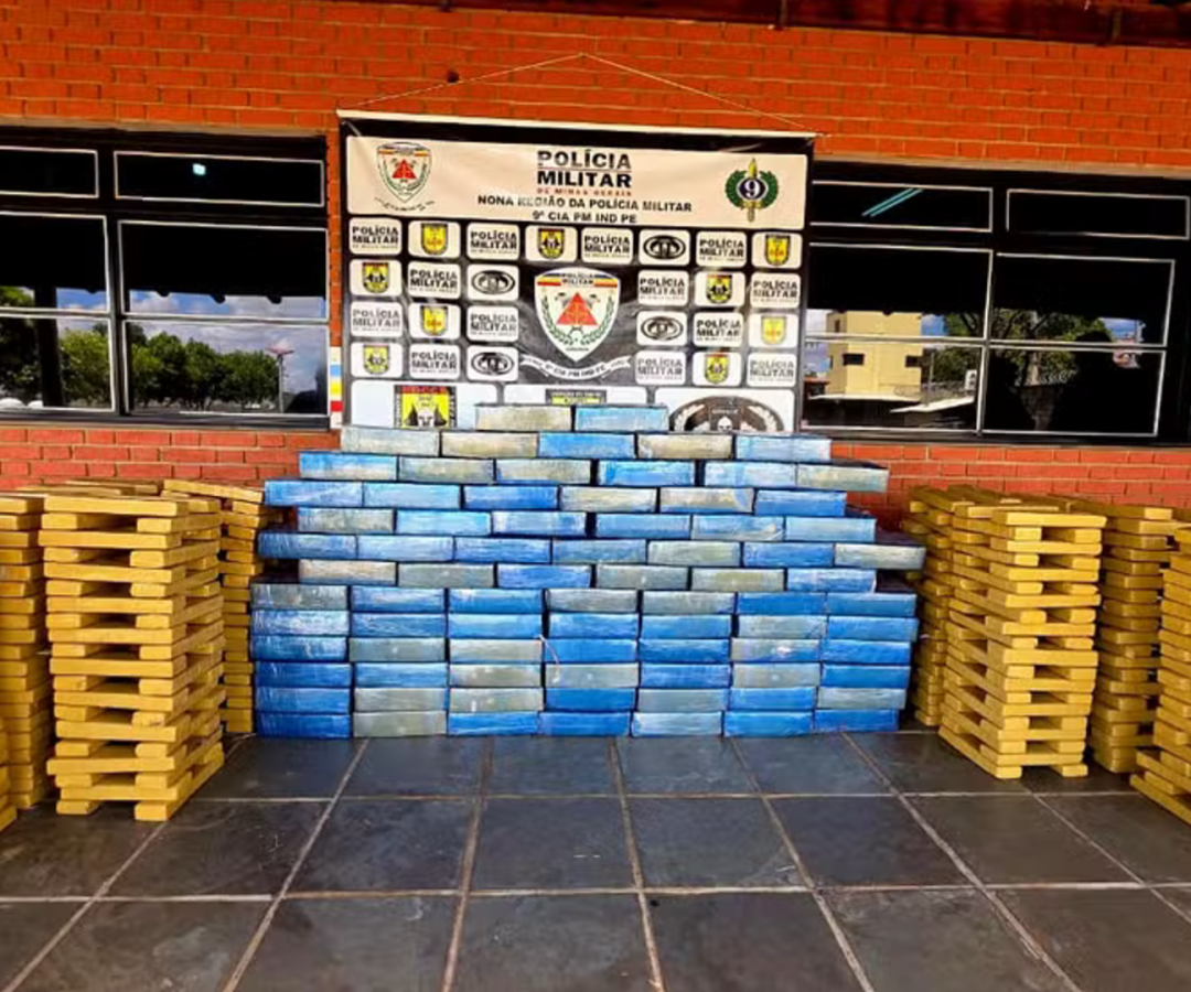 (foto: divulgação/ PMMG)