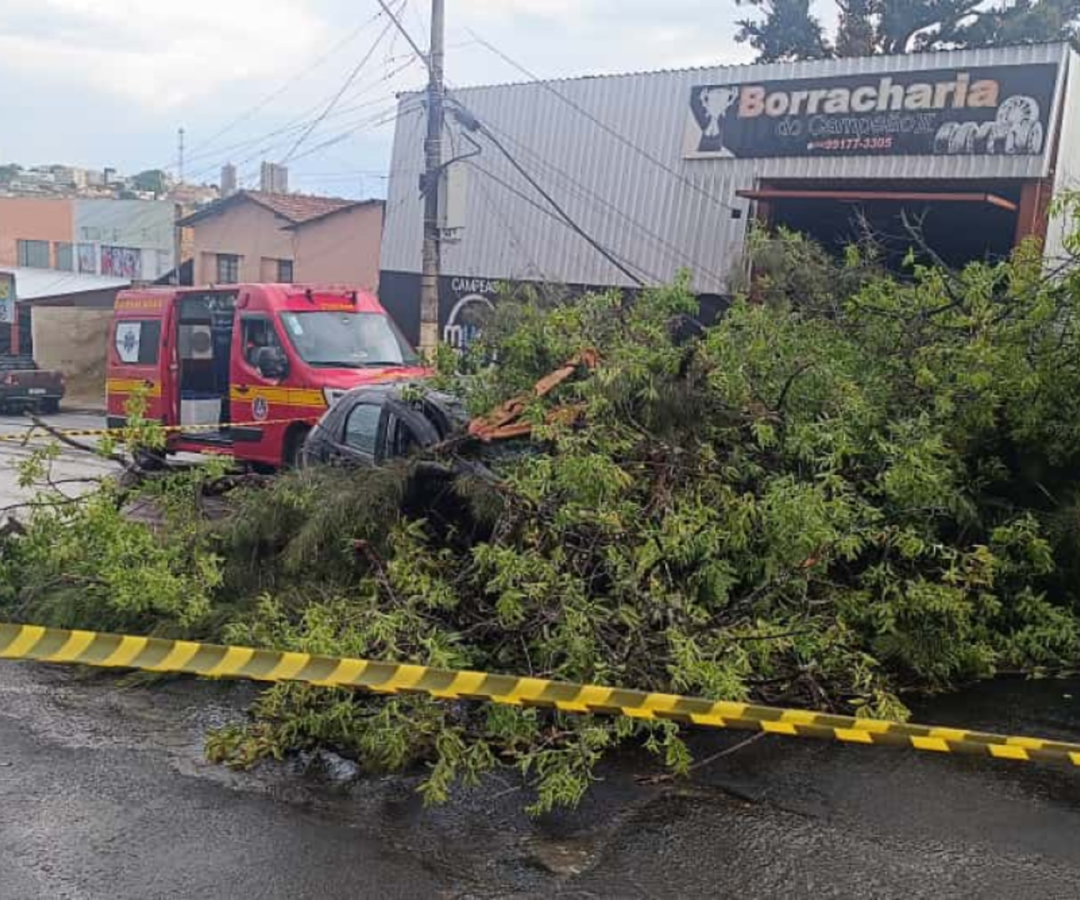 (foto: divulgação/ Caio César)