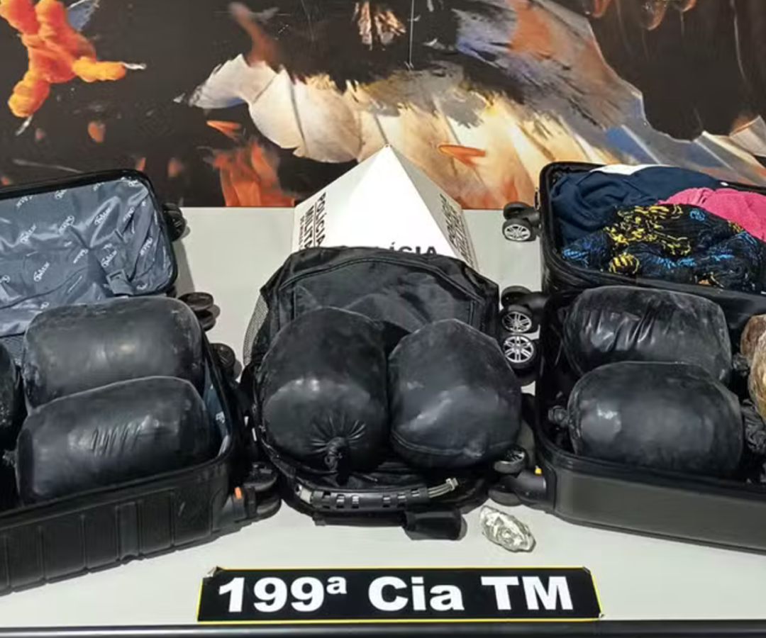 (foto: divulgação/ PMMG)