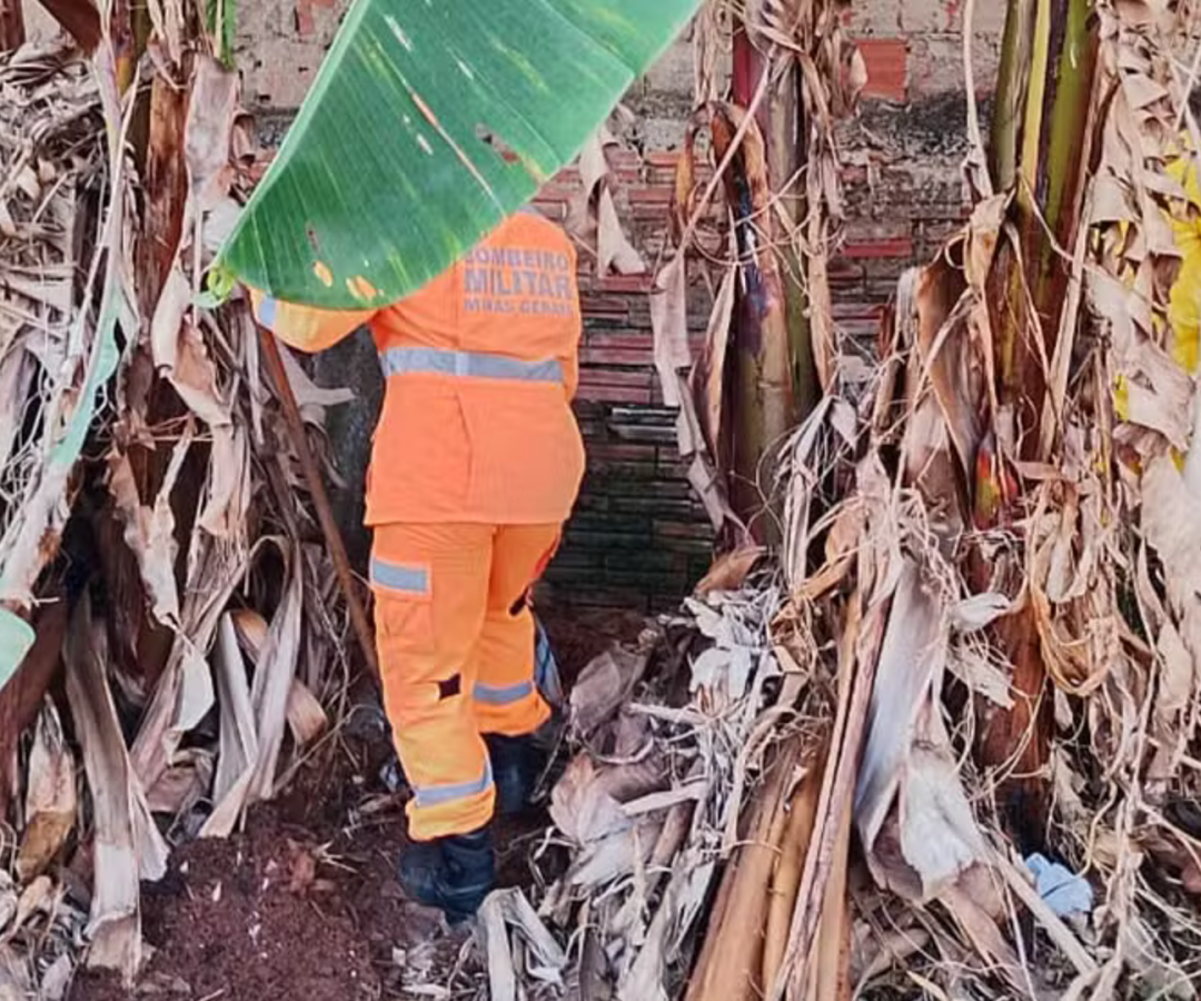 (foto: divulgação/ corpo de bombeiros)