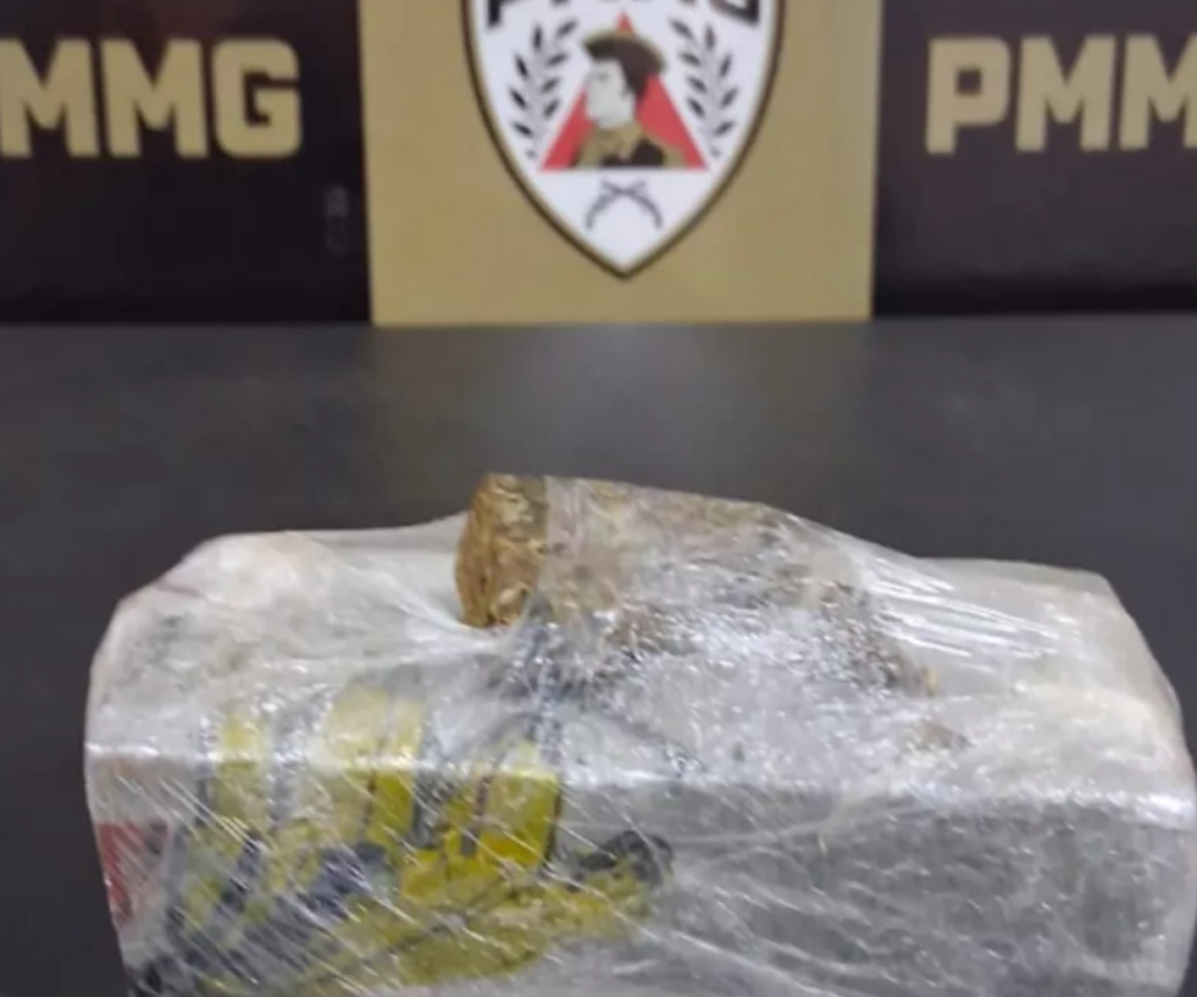 (foto: divulgação/ PMMG)