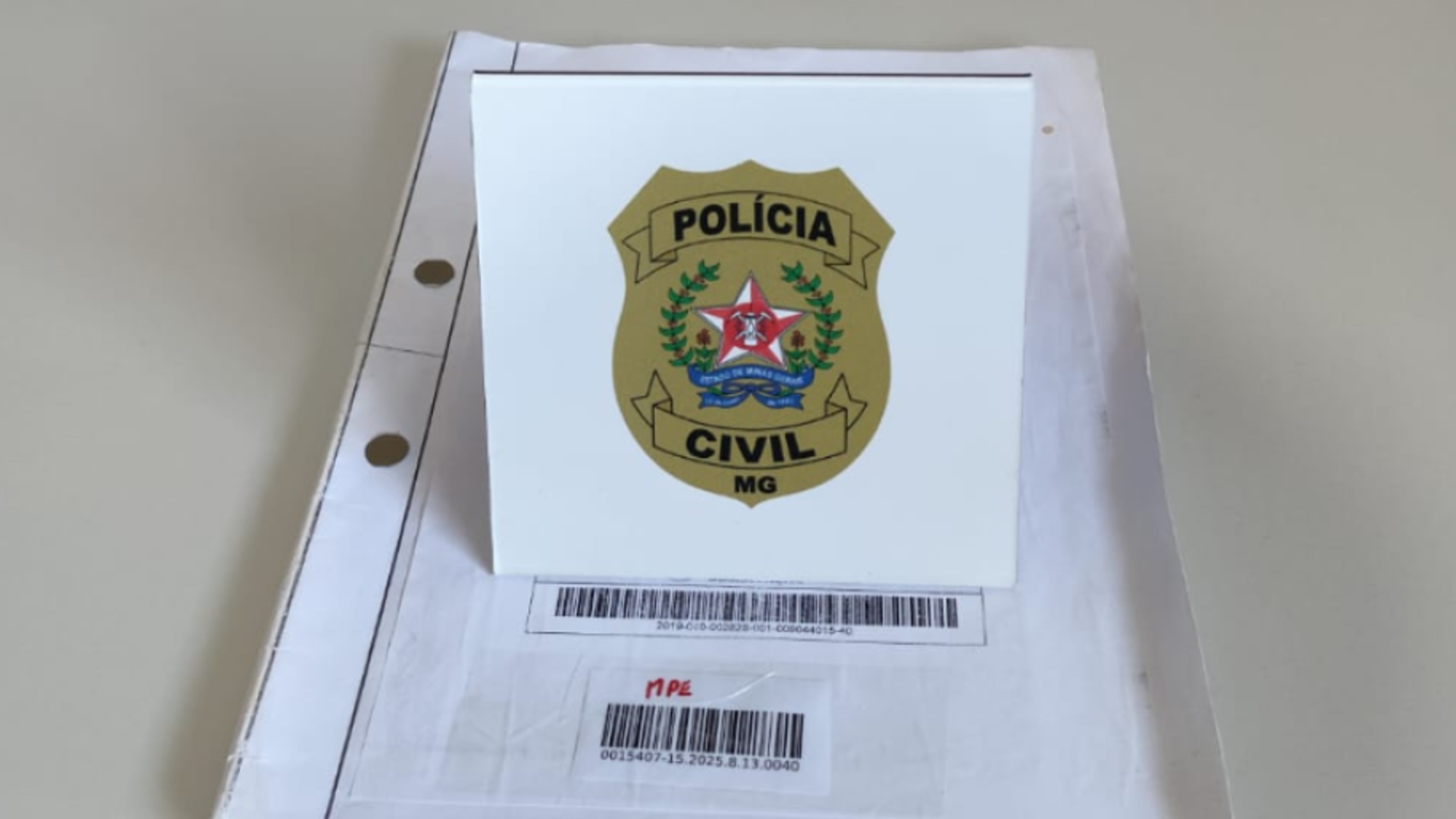 (foto: divulgação/ PCMG)