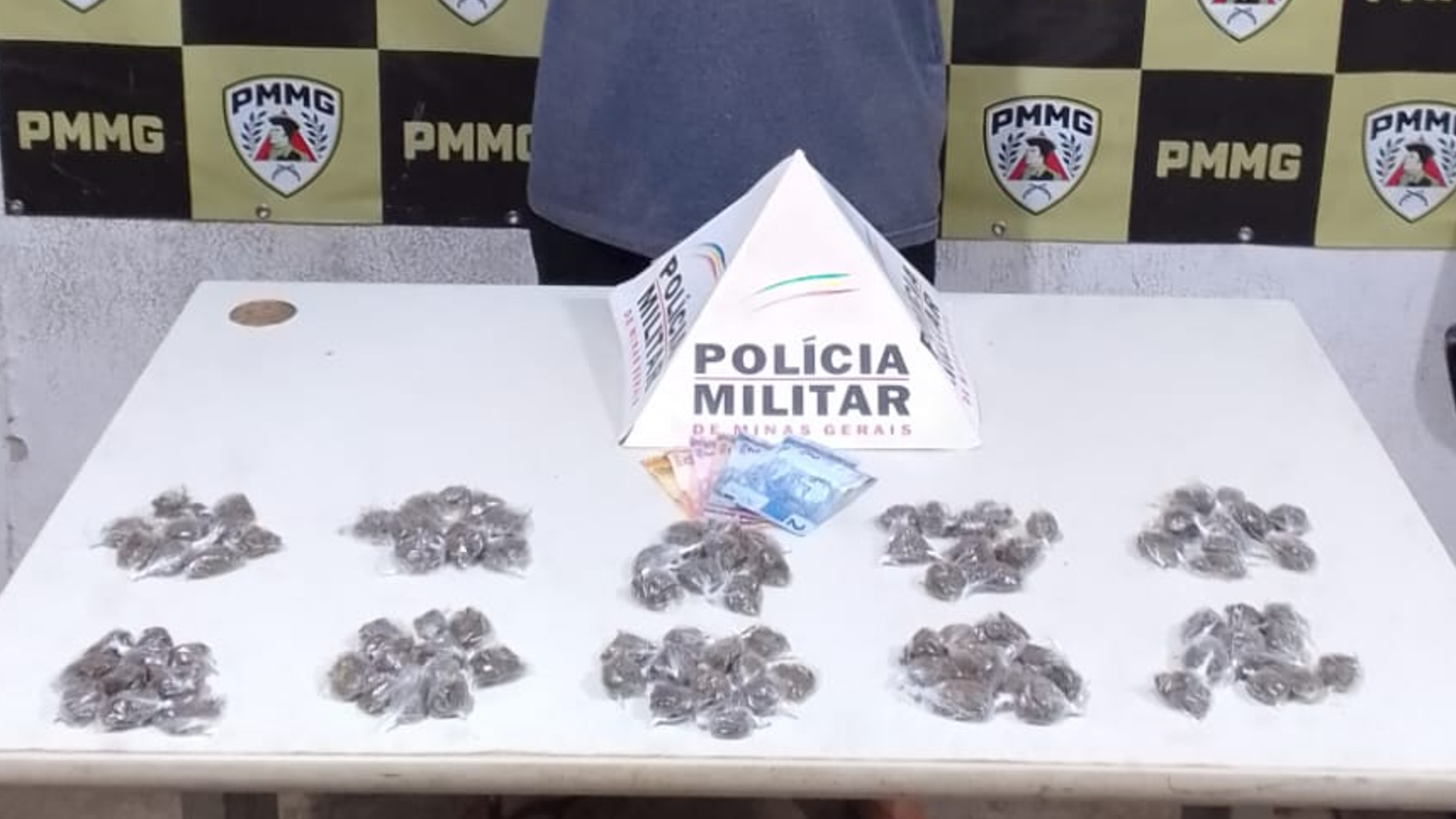 (foto: divulgação/ PMMG)