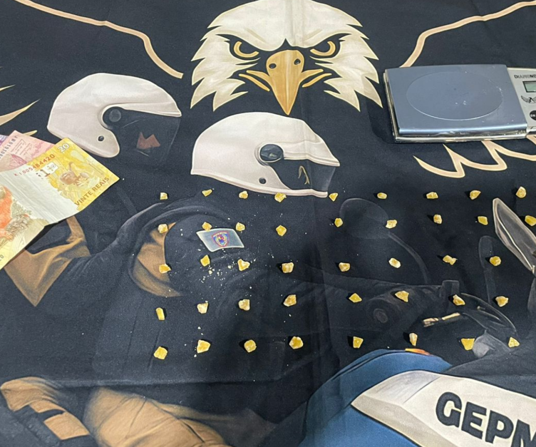 (foto: divulgação/ PMMG)