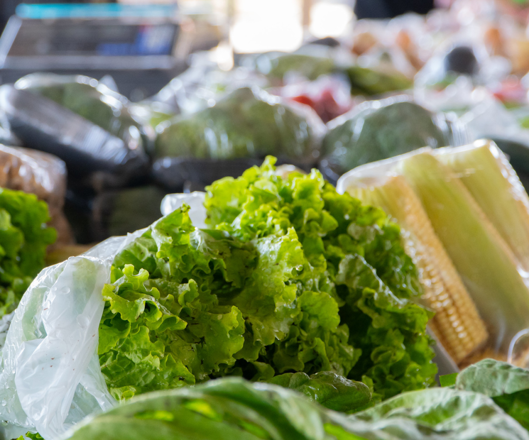 (foto: divulgação/ Secom/ PMU)