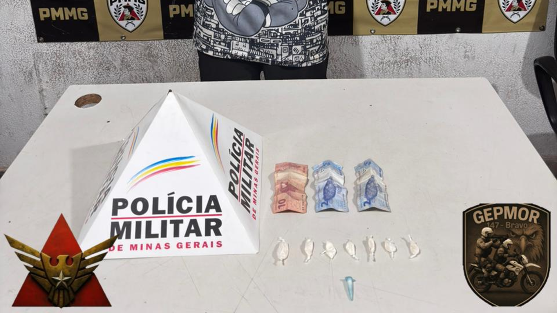 (foto: divulgação/ PMMG)