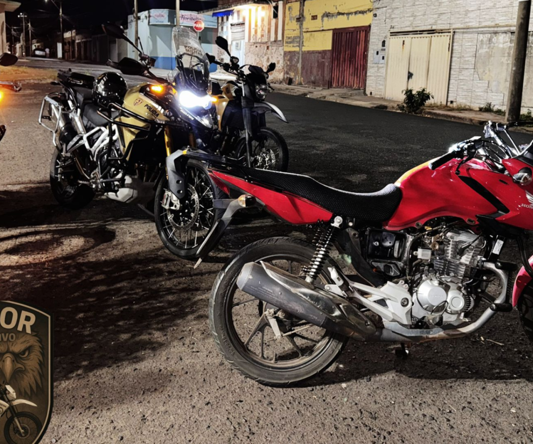 (foto: divulgação/ PMMG)