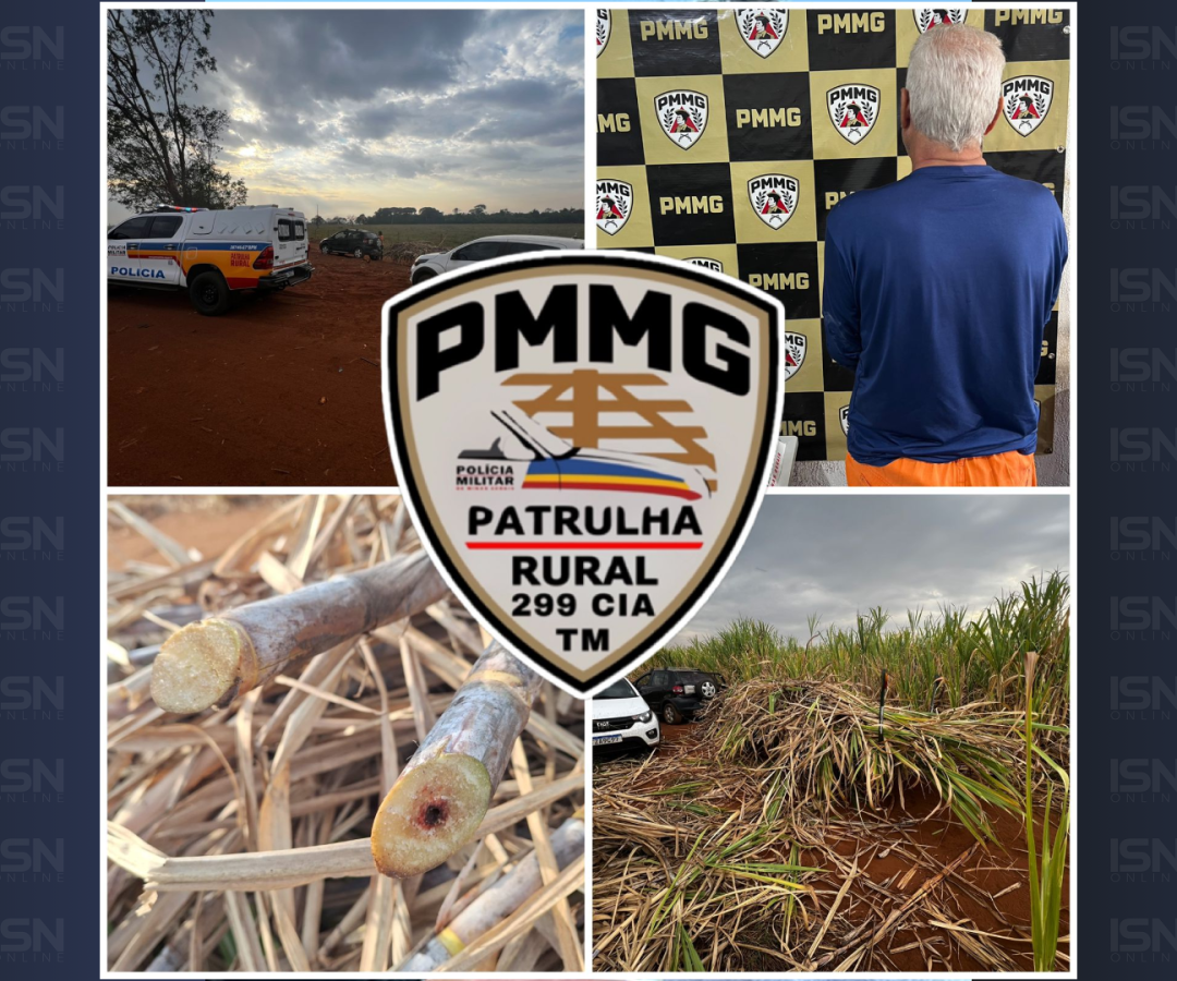 (foto: divulgação/ PMMG)
