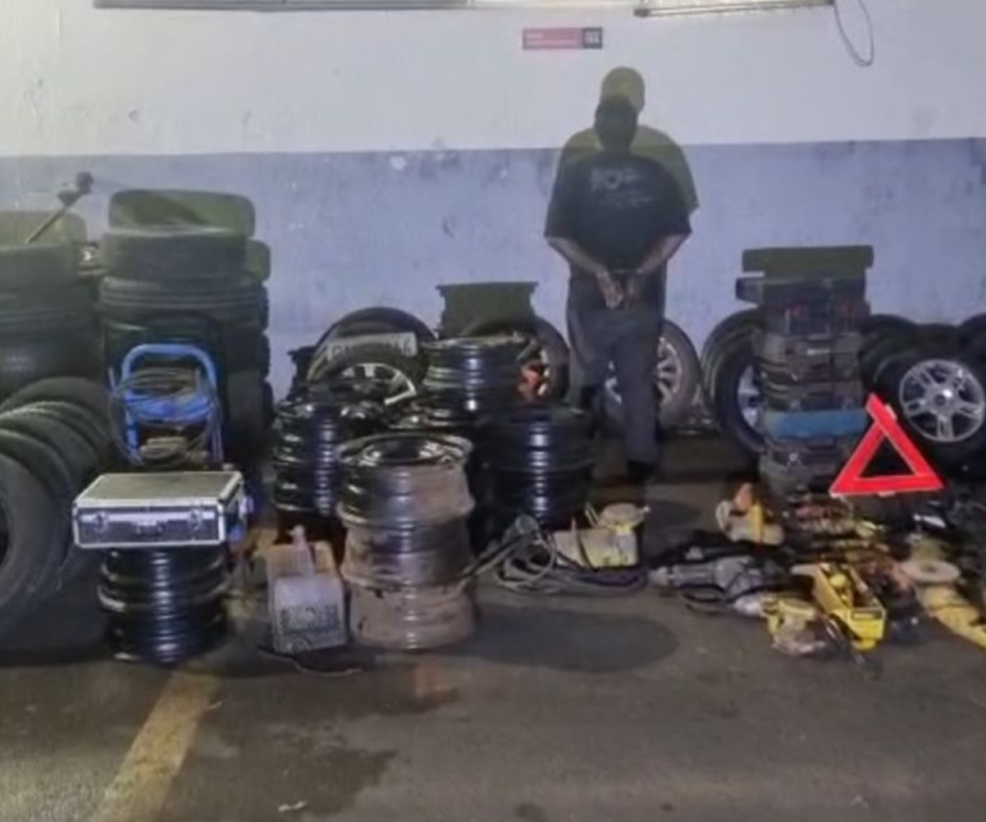 (foto: divulgação/ PMMG)