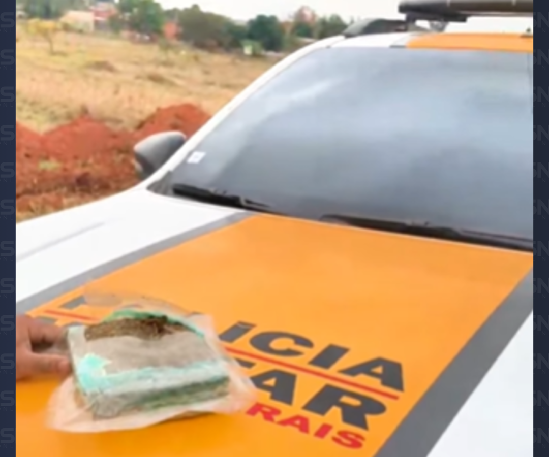 (foto: reprodução/ PMMG)