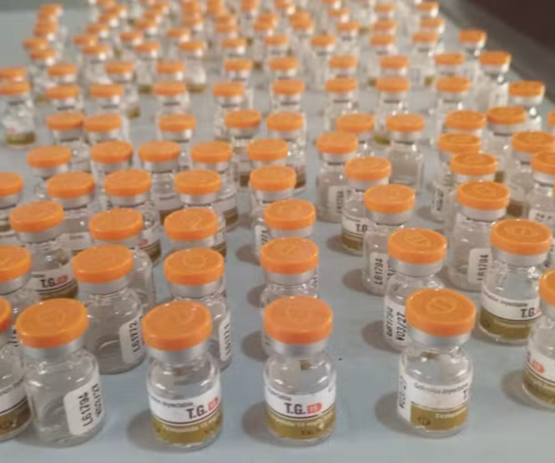 (foto: divulgação/ Polícia Militar)