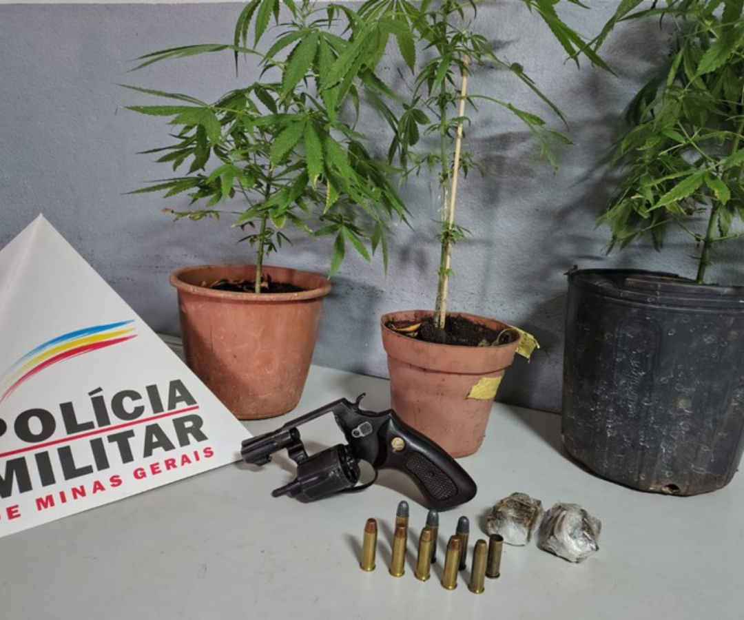 (foto: divulgação/ PMMG)