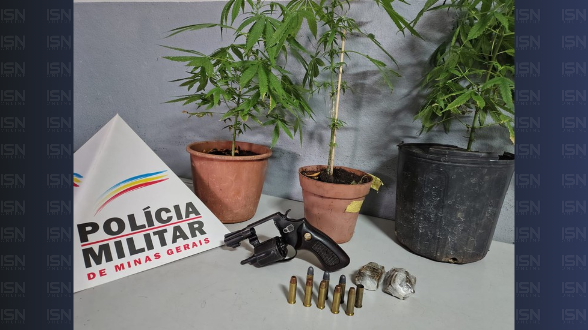 (foto: divulgação/ PMMG)