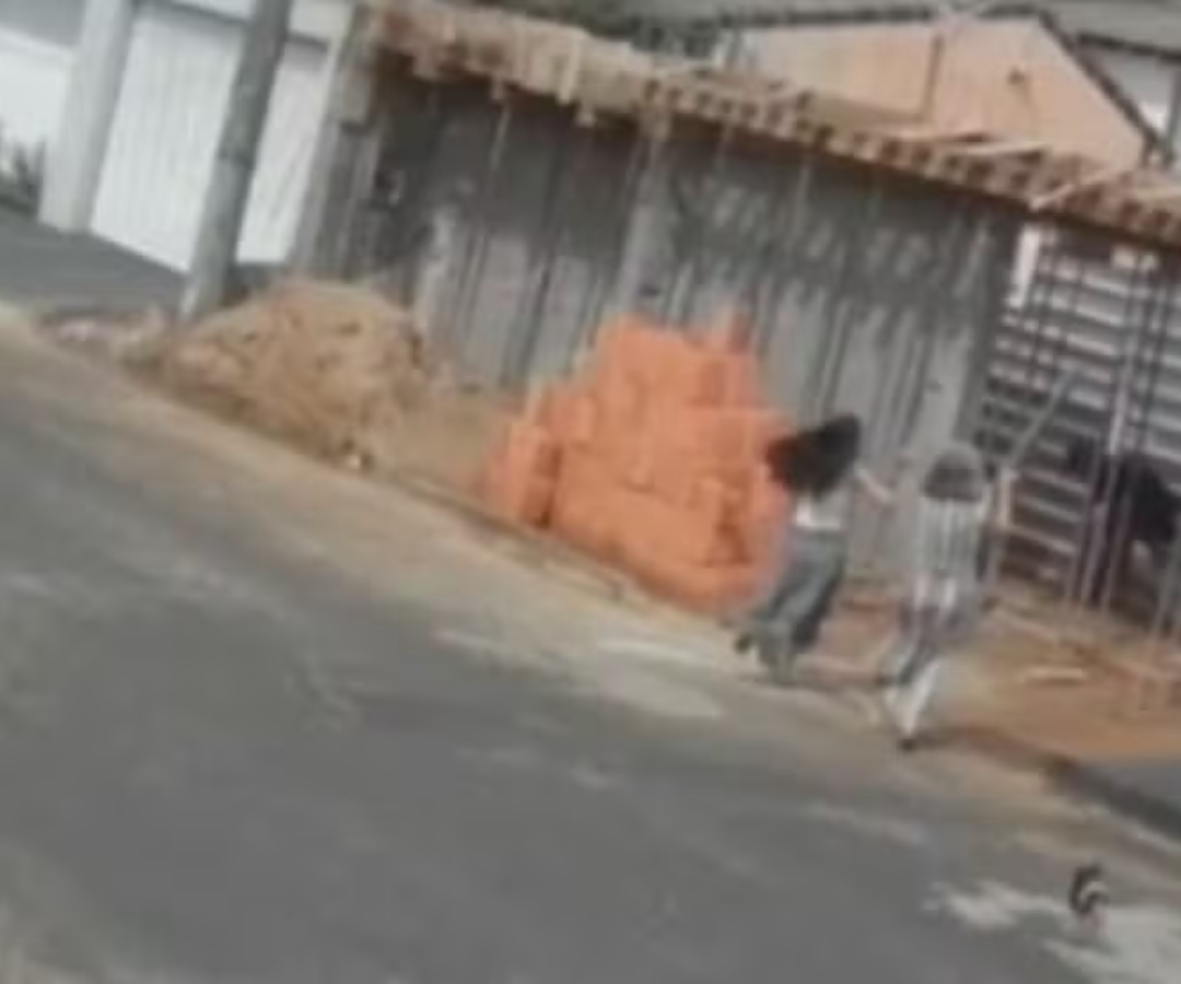 Mãe e filha espantaram ladrão com pedaços de madeira em Uberlândia (foto reprodução)