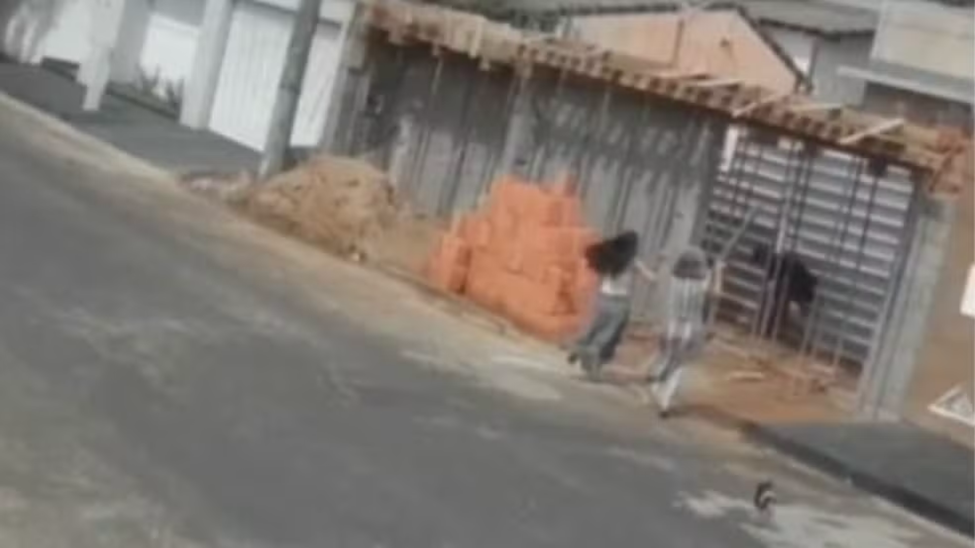 Mãe e filha espantaram ladrão com pedaços de madeira em Uberlândia (foto reprodução)